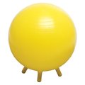 Fitnessfreak Stability Ball with Feet 65 cm FI530742